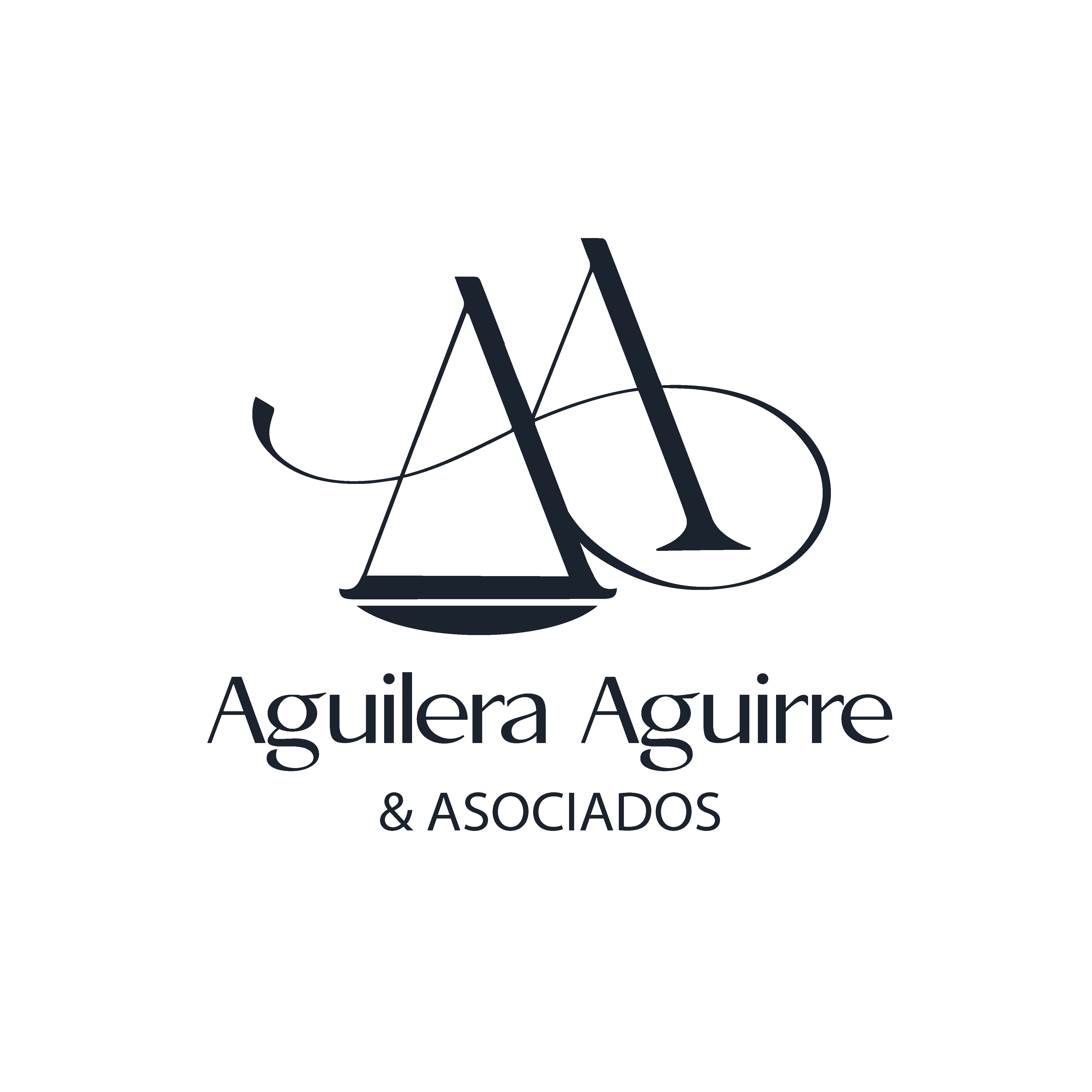 Ph.D. (c) Nicolás Sebastián Aguilera Aguirre